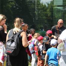 Découverte des plantes sauvages comestibles