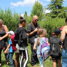 Découverte des plantes sauvages comestibles