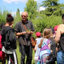 Découverte des plantes sauvages comestibles