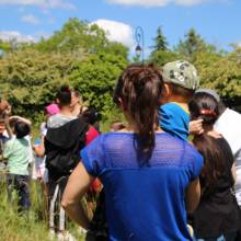 Découverte des plantes sauvages comestibles