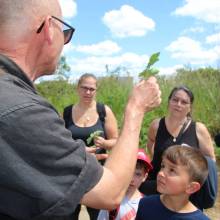 Découverte des plantes sauvages comestibles