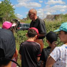 Découverte des plantes sauvages comestibles