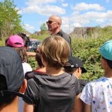 Découverte des plantes sauvages comestibles