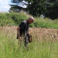 Découverte des plantes sauvages comestibles