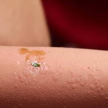 Découverte des plantes sauvages comestibles