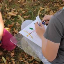 Passeport du civisme  Environnement dans les prairies Magnycoises