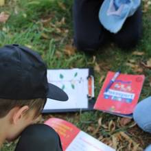 Passeport du civisme  Environnement dans les prairies Magnycoises