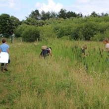 Participation à l’inventaire amphibien de la mare de la ferme de la closeraie