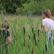 Participation à l’inventaire amphibien de la mare de la ferme de la closeraie