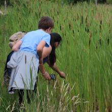 Participation à l’inventaire amphibien de la mare de la ferme de la closeraie