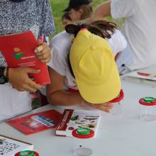 Passeport du civisme  Environnement dans les prairies Magnycoises