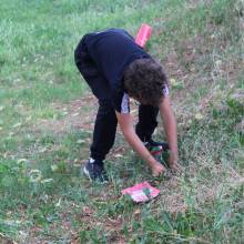 Passeport du civisme  Environnement dans les prairies Magnycoises