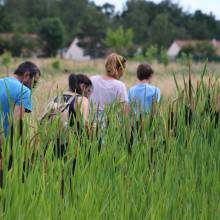 Participation à l’inventaire amphibien de la mare de la ferme de la closeraie