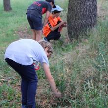 Passeport du civisme  Environnement dans les prairies Magnycoises
