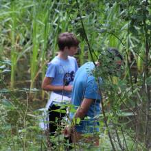 Participation à l’inventaire amphibien de la mare de la ferme de la closeraie