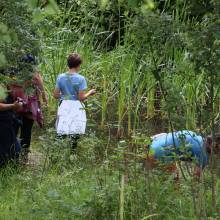 Participation à l’inventaire amphibien de la mare de la ferme de la closeraie