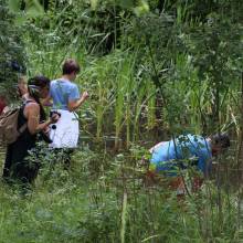 Participation à l’inventaire amphibien de la mare de la ferme de la closeraie