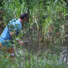 Participation à l’inventaire amphibien de la mare de la ferme de la closeraie