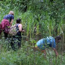 Participation à l’inventaire amphibien de la mare de la ferme de la closeraie