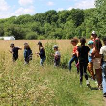 Passeport du civisme  Environnement dans les prairies Magnycoises