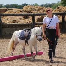 Les écuries de la vallée de Chevreuse organisaient leurs portes ouvertes le samedi 18 juin
