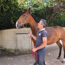 Les écuries de la vallée de Chevreuse organisaient leurs portes ouvertes le samedi 18 juin