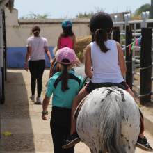 Les écuries de la vallée de Chevreuse organisaient leurs portes ouvertes le samedi 18 juin