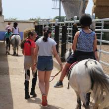 Les écuries de la vallée de Chevreuse organisaient leurs portes ouvertes le samedi 18 juin