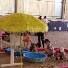 Les écuries de la vallée de Chevreuse organisaient leurs portes ouvertes le samedi 18 juin