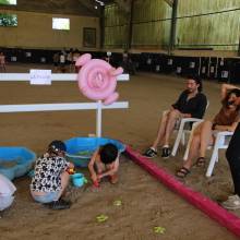 Les écuries de la vallée de Chevreuse organisaient leurs portes ouvertes le samedi 18 juin