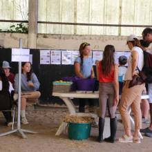 Les écuries de la vallée de Chevreuse organisaient leurs portes ouvertes le samedi 18 juin
