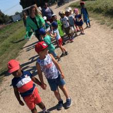 Activité accueil de loisirs maternel 