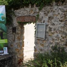 Formation sur les insectes pollinisateurs, amis de la biodiversité