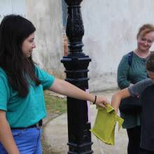 Formation sur les insectes pollinisateurs, amis de la biodiversité
