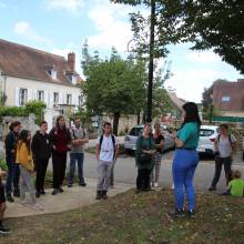 Formation sur les insectes pollinisateurs, amis de la biodiversité