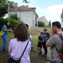 Formation sur les insectes pollinisateurs, amis de la biodiversité