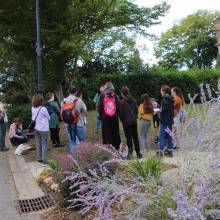 Formation sur les insectes pollinisateurs, amis de la biodiversité