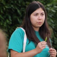 Formation sur les insectes pollinisateurs, amis de la biodiversité
