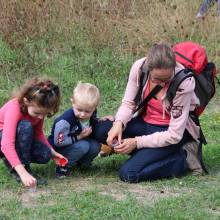 Formation sur les insectes pollinisateurs, amis de la biodiversité
