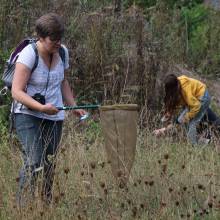Formation sur les insectes pollinisateurs, amis de la biodiversité