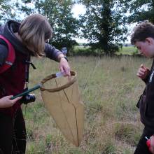 Formation sur les insectes pollinisateurs, amis de la biodiversité