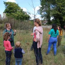 Formation sur les insectes pollinisateurs, amis de la biodiversité