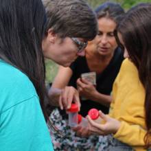 Formation sur les insectes pollinisateurs, amis de la biodiversité