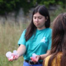 Formation sur les insectes pollinisateurs, amis de la biodiversité