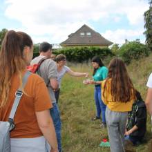 Formation sur les insectes pollinisateurs, amis de la biodiversité