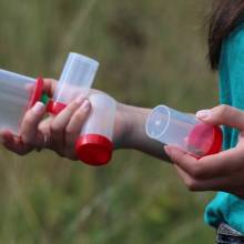 Formation sur les insectes pollinisateurs, amis de la biodiversité