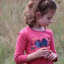 Formation sur les insectes pollinisateurs, amis de la biodiversité
