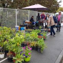 Foire à la patate 2022