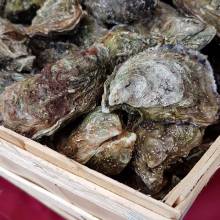 Foire à la patate 2022