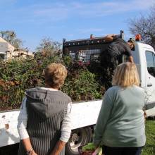 Des plantes et fleurs en quête d’une deuxième vie !
